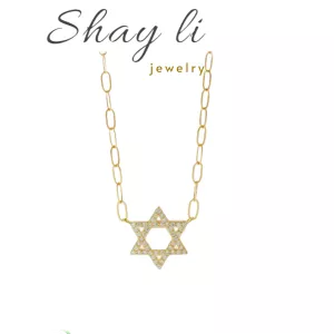 שרשרת מגן דוד לולאות ציפוי זהב 14K