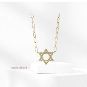 שרשרת כסף 925s מגן דוד זהב