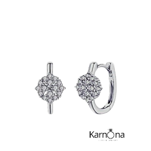 עגילים חישוק מעבדה