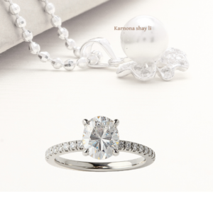 טבעת היידי אובל מעבדה