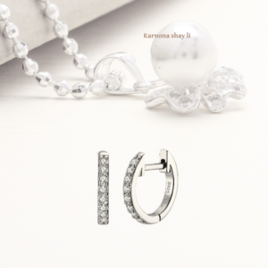 עגילים חישוק מעבדה