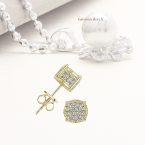 עגילים מעבדה פרינסס